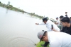 Tebar Bibit Ikan Nila, Bahtiar Ingin di Bendung Sekka-Sekka Multifungsi: Irigasi dan Sumber Perikanan