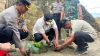 Pj Gubernur Sulbar Bahtiar Baharuddin Tanam Sukun dan Pisang Cavendish di Lahan Polresta Mamuju