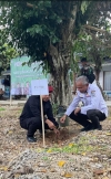 Hadiri Penanaman Pohon di Pulau Karampuang, Herdin Ismail Tekankan Pentingnya Keterlibatan Aktif Semua Pihak Jaga Kelestarian Alam