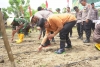Dukung Swasembada Pangan, PJ. Bahtiar Ikuti Penanaman Jagung Serentak 1 Juta Hektar
