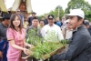 Tanam Pohon dan Saat Warga Tabang Serbu Pohon Gratis dari Pemprov Sulbar
