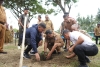 Pj Gubermur Bahtiar Tanam Sukun di Tiga Kantor Yang Berbeda