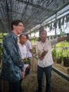 Konsulat Jenderal Australia Todd Dias Kunjungi Etalase Anggrek dan Pembibitan Hortikultura, Sekdis TPHP Agus Rauf : Peluang Perkenalkan Potensi Sulbar di Tingkat Internasional Bidang Hortikultura